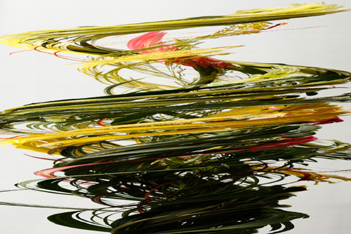 Slit scan photo of flowers rotated on a turntable
