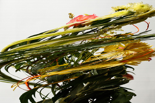 Slit scan photo of flowers rotated on a turntable